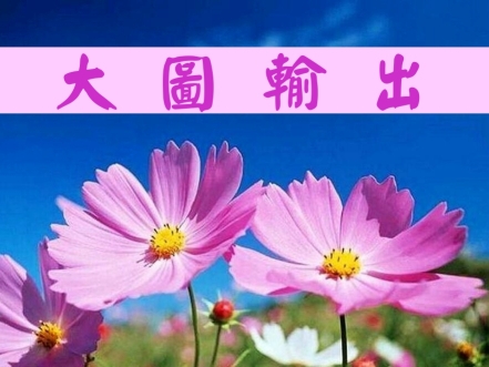 超低價：大圖輸出／電腦割字／廣告布旗超低下殺優惠／旗杆旗座租賃買賣 - 20111105140736_476898953.jpg(圖)