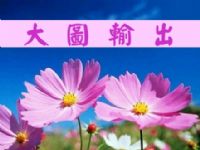 超低價：大圖輸出／電腦割字／廣告布旗超低下殺優惠／旗杆旗座租賃買賣_圖片(1)