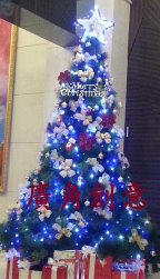 聖誕樹/耶誕樹出租 高雄 - 20141209173009-117650671.jpg(圖)