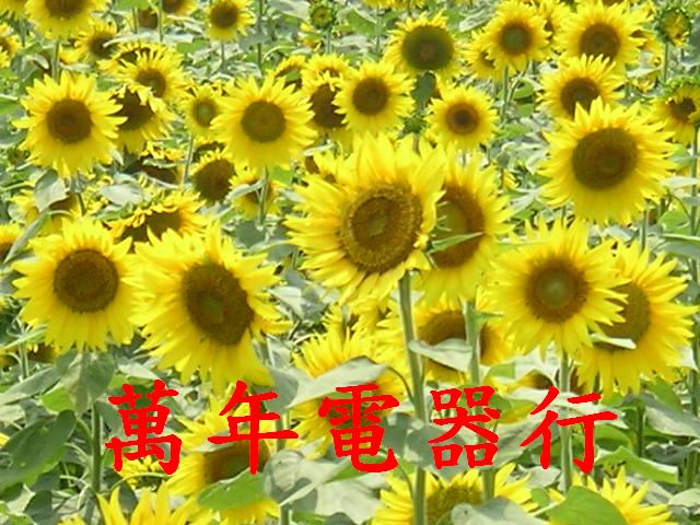 嘉義液晶電視維修站、雲林液晶電視維修站、萬年電器行 - 20111122072204_919986195.JPG(圖)