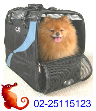 伸縮寵物袋 寵物袋 寵物包 寵物外出包 寵物外出袋 自行車寵物袋 - 20100219054354_530029330.jpg(圖)