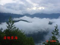 高鐵接送,機場接送,中部包車旅遊,飯店民宿接送,日月潭,清境農場,阿里山_圖片(3)