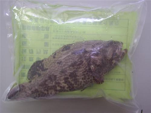 富立洋生物科技股份有限公司 - 20090605142914_350749965.JPG(圖)