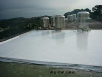 龍潭防水抓漏防漏、外牆漏水、壁癌、屋頂漏水、專治漏水壁癌、防水工程、外牆防水、浴室防水、防水工程、屋頂防水、壁癌處理、PU、防水PU(新竹宅修0988-255-850林先生)_圖片(3)