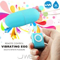 【MP3造型20段變頻遙控跳蛋】情人精品禮物廣場-情人精品女王薇珍妮_圖片(2)