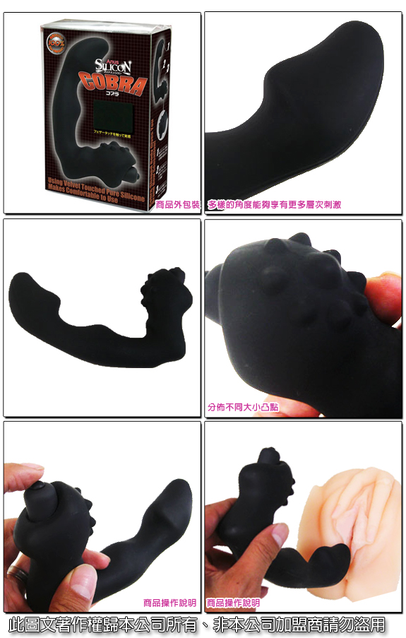 【日本Wins-COBRA 眼鏡蛇強韌觸感前列腺後庭按摩棒】情趣用品 - 20120718135554_591051031.jpg(圖)