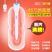 【45度C智能USB恆溫熱穴棒】情趣用品尿道-情趣用品 yahoo_圖片(1)