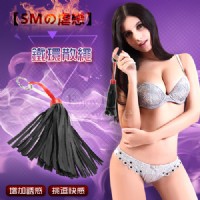 【【SM虐戀】拍打 酥癢 調情 鐵環散繩】情趣用品示範影片-情趣用品哪裡買品質好_圖片(1)